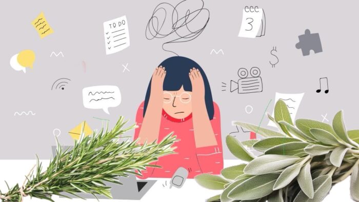 Cosa dicono i medici sulla combinazione salvia-rosmarino nella lotta contro lo stress (ricetta e modalità d’uso)
