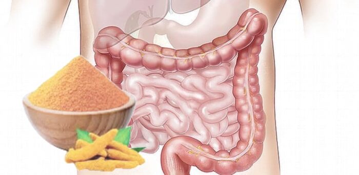 Il cibo che riduce l’infiammazione a livello intestinale. Nutrizionista: ha proprietà antiossidanti e combatte lo stress ossidativo (ricette e modalità di consumo)