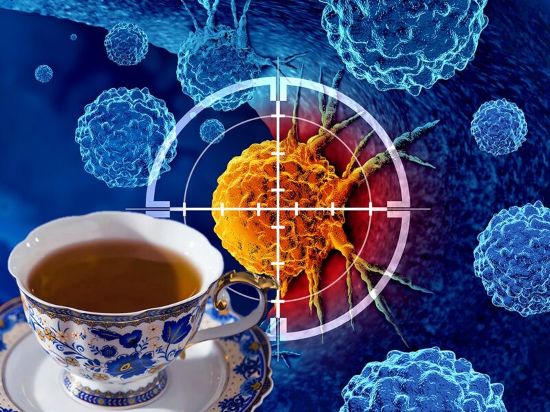 Top 6 tè che riducono il rischio di cancro secondo ricerche recenti