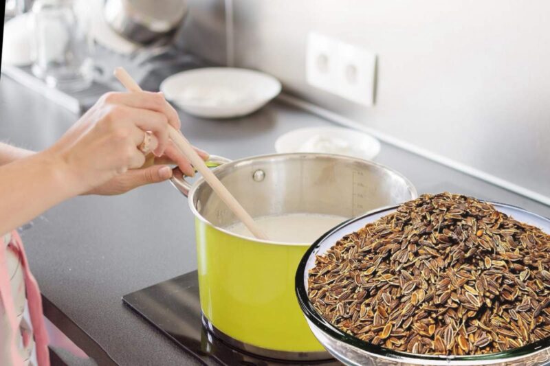 Latte caldo con semi di finocchio: rimedio antico per l’insonnia