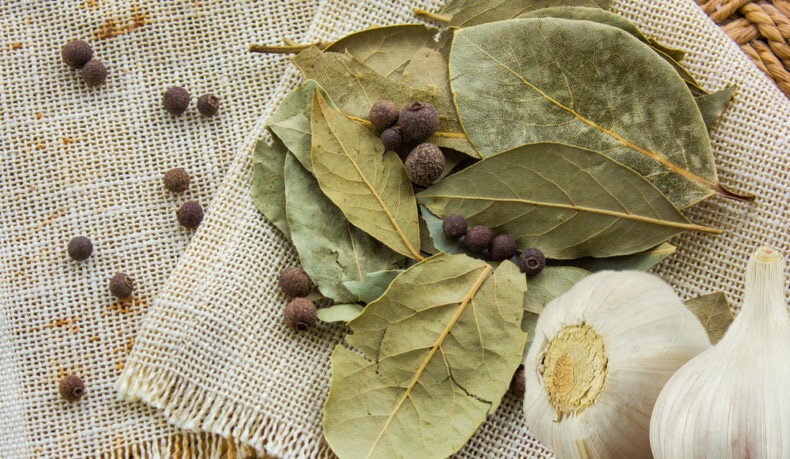 Aceto con aglio, alloro e pepe ricetta per circolazione, immunità e purificazione dei vasi sanguigni