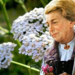 La ricetta di Maria Treben per reni e vescica: ricetta autentica con equiseto, achillea e bagno di vapore