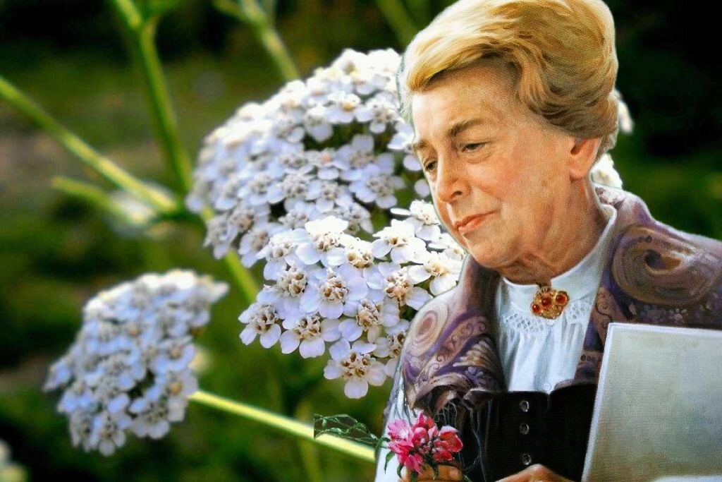 La ricetta di Maria Treben per reni e vescica: ricetta autentica con equiseto, achillea e bagno di vapore