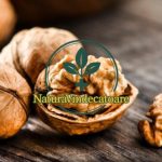 Cosa succede nel corpo se mangi ogni giorno 5 noci
