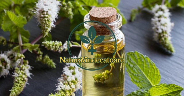 Cosa succede se aggiungi alcune gocce di olio essenziale di menta in bagno