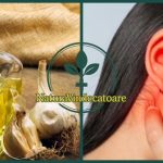 Olio di girasole all’aglio: rimedio casalingo per il dolore alle orecchie