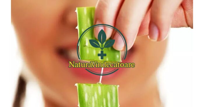 Gel di aloe vera per il viso: come si utilizza e quali effetti ha sulla pelle