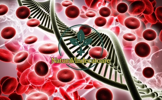 I migliori mix di erbe per la purificazione del sangue