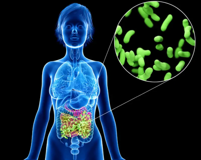I migliori rimedi per un intestino sano