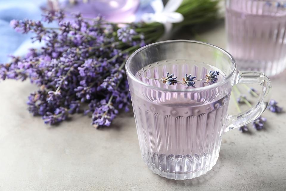 Aqua di lavanda lasciata in infusione durante la notte: una bevanda che lenisce il sistema nervoso e purifica l’organismo al mattino