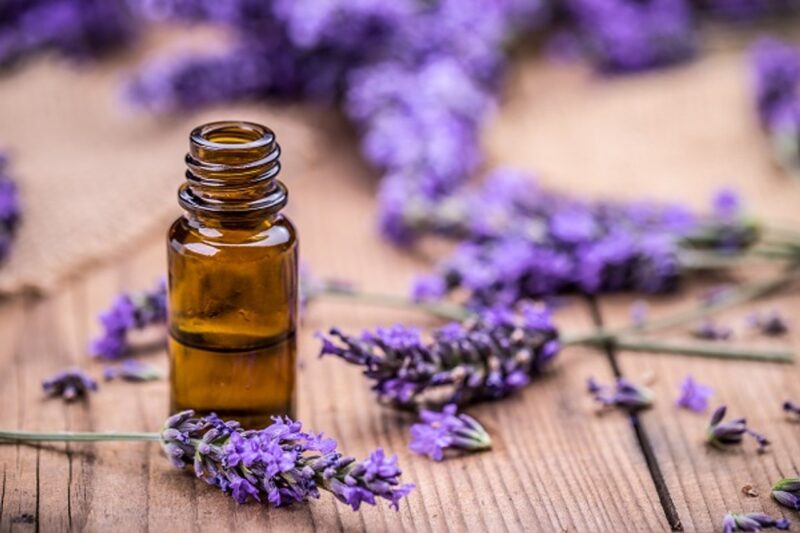 Olio di lavanda sulle tempie per emicranie e nervosismo: preparazione e modalità d’uso