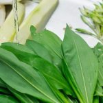 Il succo di aglio orsino: la soluzione naturale per la flora intestinale, l’eliminazione dei parassiti e la guarigione dello stomaco