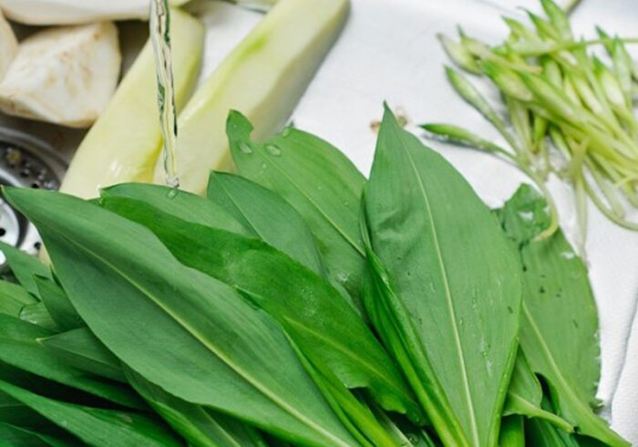 Il succo di aglio orsino: la soluzione naturale per la flora intestinale, l’eliminazione dei parassiti e la guarigione dello stomaco