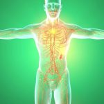 La miscela di piante che purifica la linfa e riduce le infiammazioni in tutto il corpo (preparazione, consumo, controindicazioni)