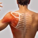 Rimedi naturali per i dolori muscolari: Ricette, applicazioni e ricerche recenti