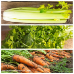 La carota, il prezzemolo e il sedano: alleati naturali del fegato e dei polmoni