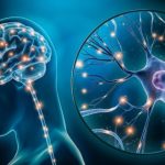 La migliore vitamina per il sistema nervoso: fonti naturali