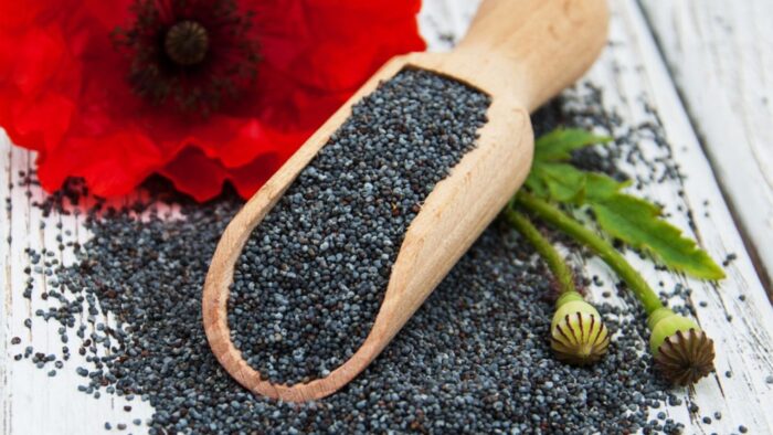 Il papavero: il superfood PICCOLO con GRANDI benefici