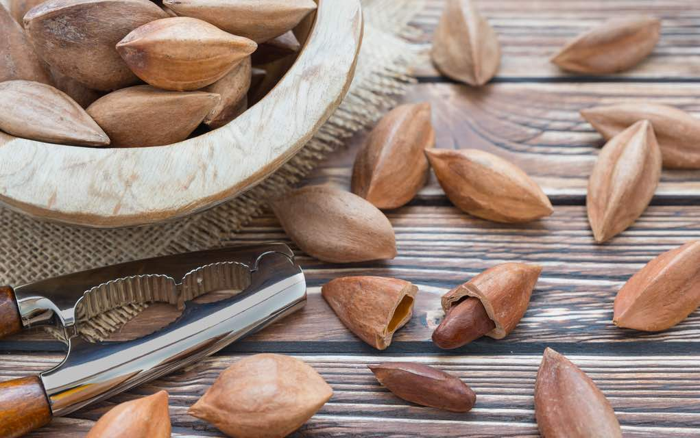 Noci Pili considerate le più sane noci del pianeta: 7 benefici per la salute