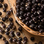 Frutti di acai: i frutti di bosco più ricchi di antiossidanti – benefici, informazioni nutrizionali, modalità di consumo e controindicazioni