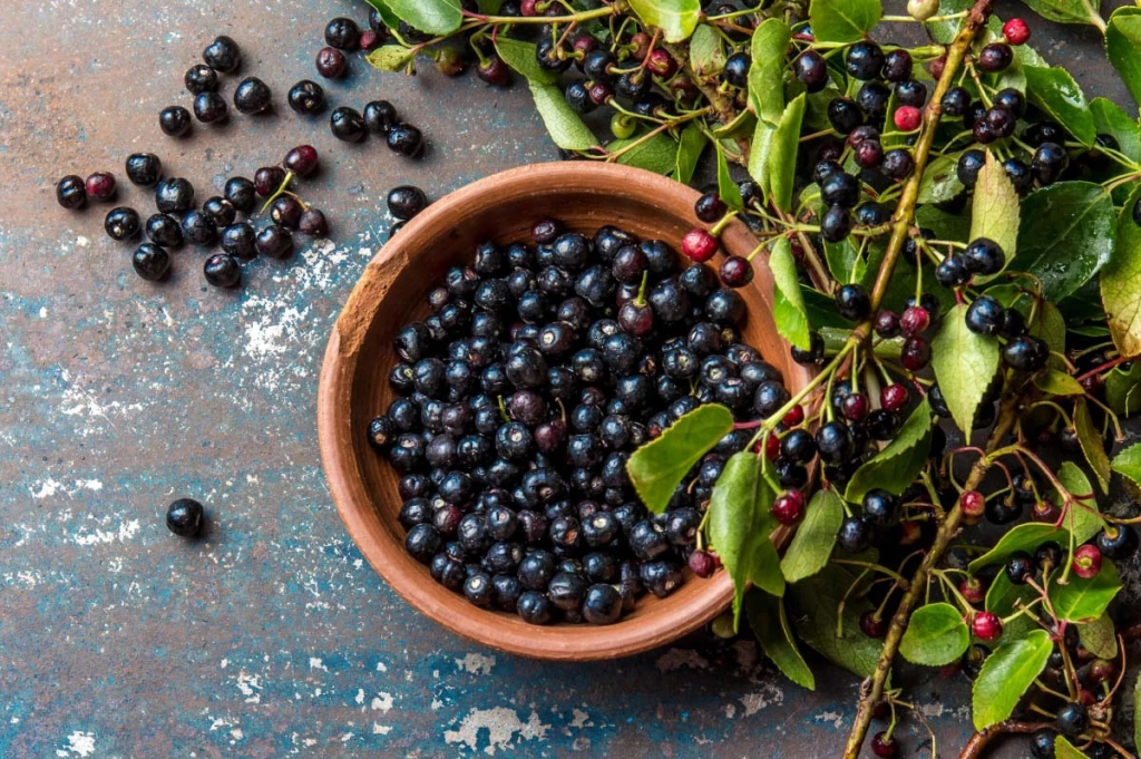 I frutti di maqui al top dei frutti di bosco grazie al potenziale antiossidante: 15 benefici per la salute