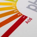 Come alcalinizzare il tuo corpo per una vita più sana