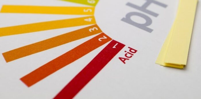 Come alcalinizzare il tuo corpo per una vita più sana