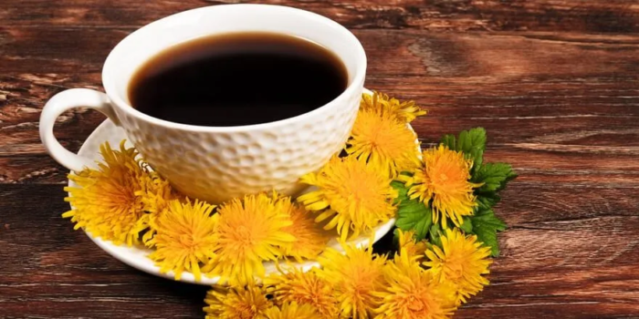Caffè di radice di dente di leone: una bevanda amara con poteri curativi