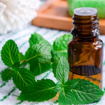 Qual è l’effetto dell’olio di menta sui mal di testa, come si prepara e come si applica