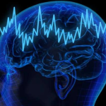 Le piante che proteggono il cervello dopo i 50 anni: Ricette semplici con effetti cognitivi