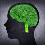 13 Alimenti per il cervello, memoria di ferro e grande potere di concentrazione