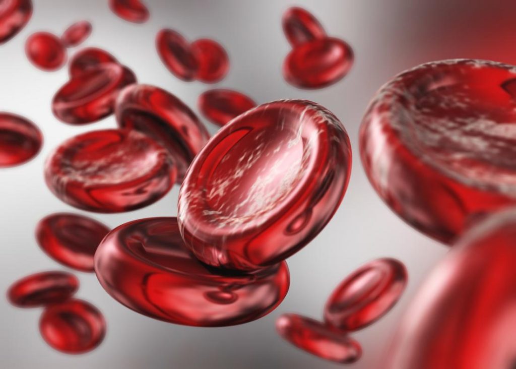 I migliori alimenti per aumentare la produzione di emoglobina (sangue)