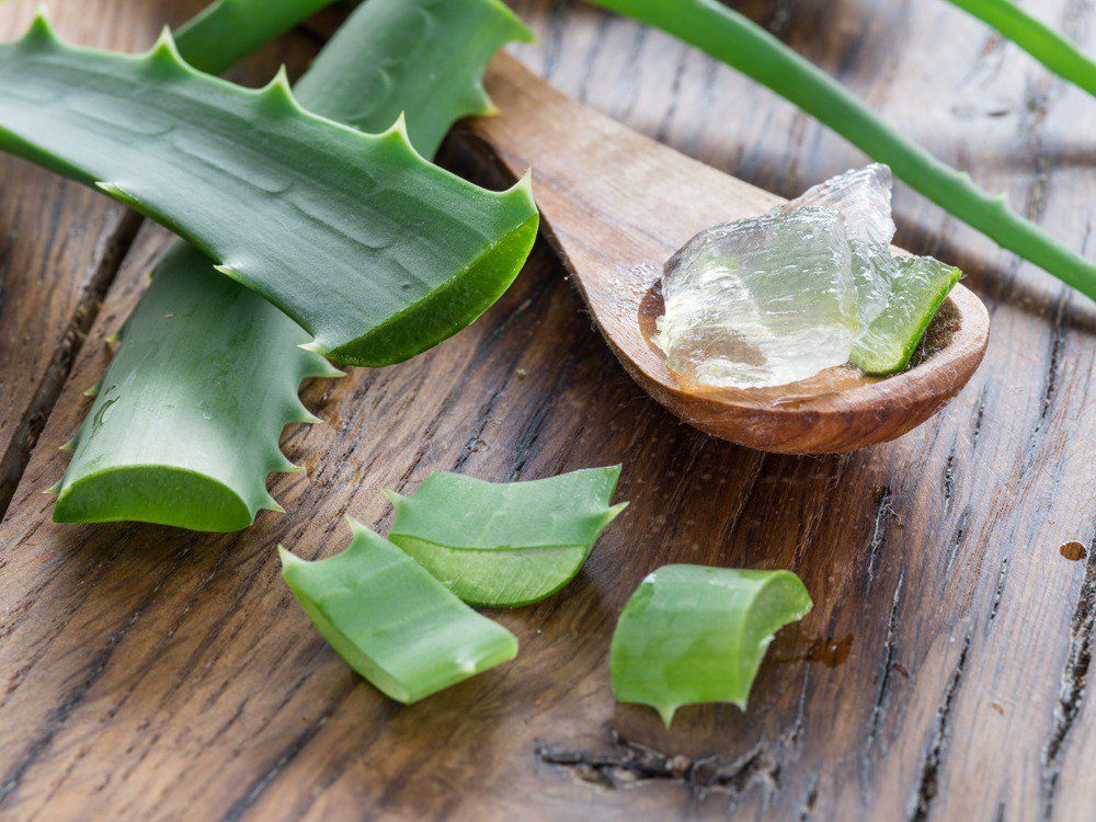 Aloe Vera: il rimedio perfetto per qualsiasi problema della pelle