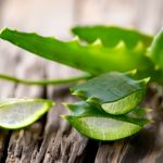 L’aloe vera è considerata una pianta miracolosa da oltre 4000 anni