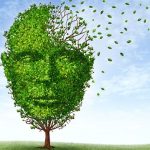 Due frutti raccomandati per prevenire la malattia di Alzheimer
