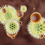 Cosa mangiamo quotidianamente e come ci malattie? I ricercatori lanciano un allerta