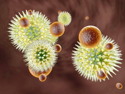 Cosa mangiamo quotidianamente e come ci malattie? I ricercatori lanciano un allerta