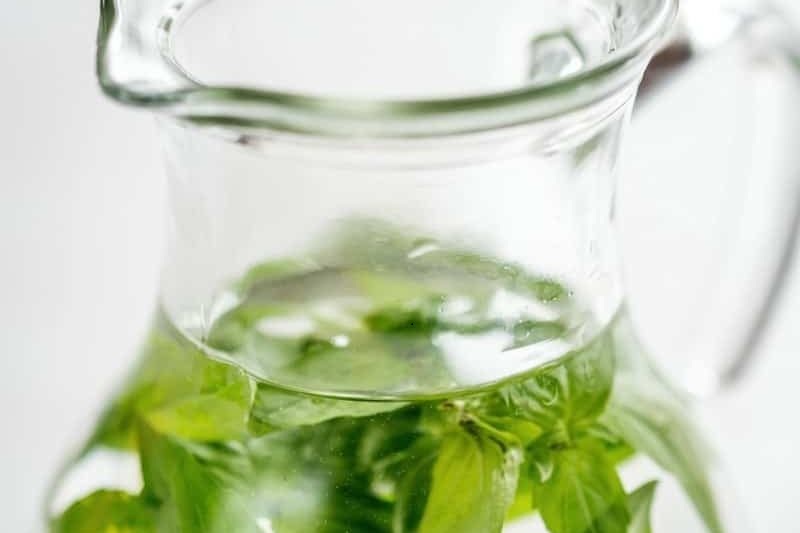 Acqua di basilico Elixir per mente, pelle e digestione