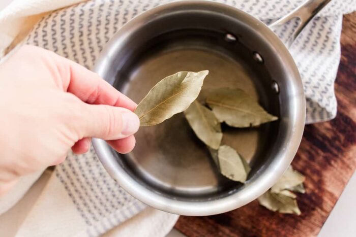 Le foglie di alloro per il sistema respiratorio, nervoso, muscolare e digestivo: una pianta straordinaria (modo di preparazione e consumo)
