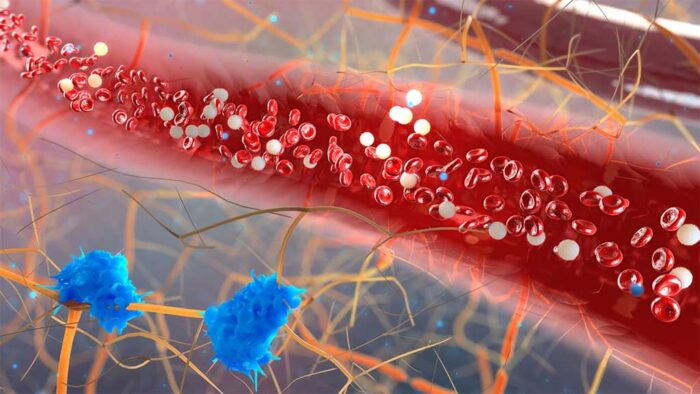 I tè medicinali più efficaci per regolare la glicemia (preparazione e modalità di consumo)