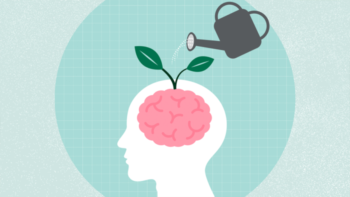 I 12 migliori alimenti per la memoria e un cervello sano, indipendentemente dall’età