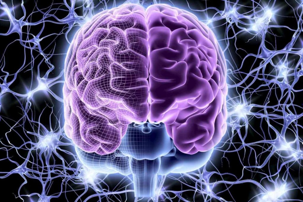 Le piante più potenti che proteggono il sistema nervoso da stress, ansia e sonno