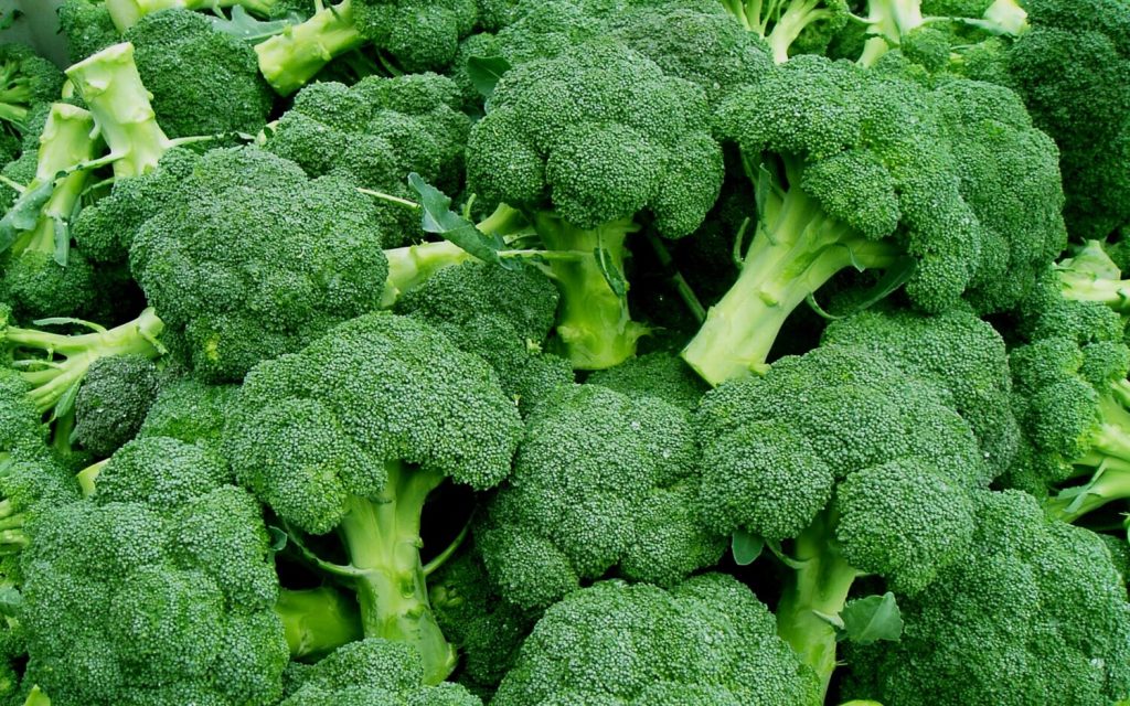 Il broccolo consumato regolarmente porta una serie di benefici importanti per l’organismo