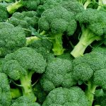 Il broccolo consumato regolarmente porta una serie di benefici importanti per l’organismo