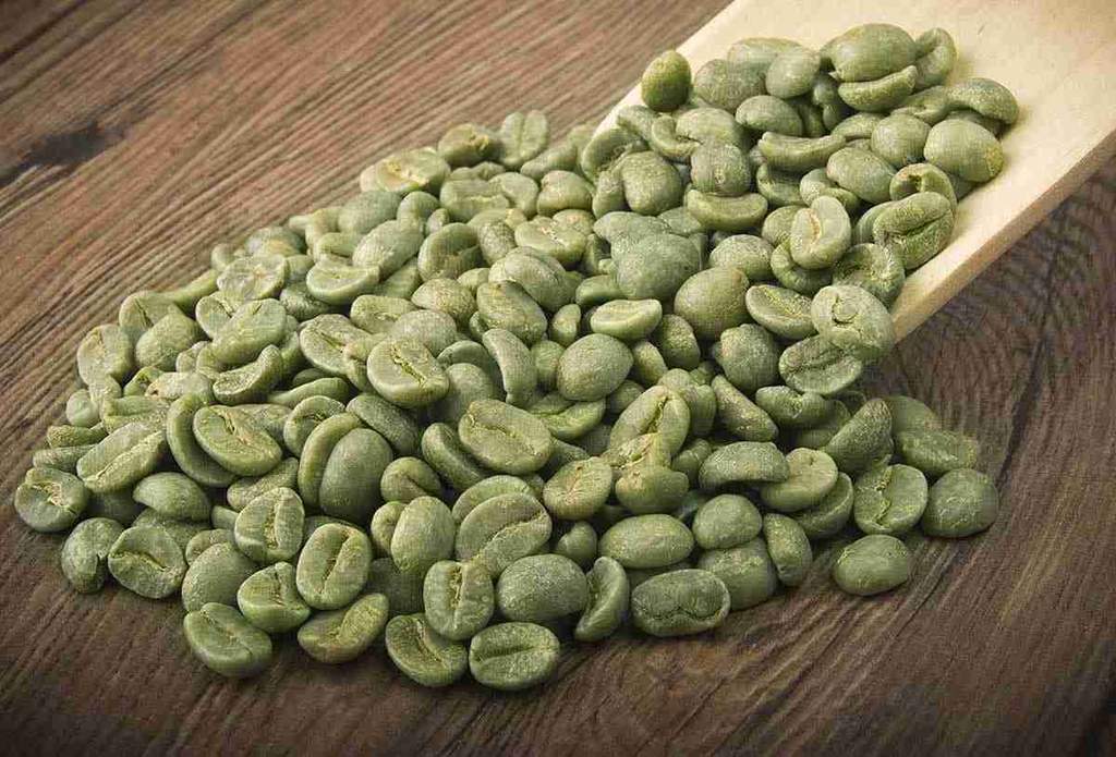 Il caffè verde: i nutrizionisti dicono che è una meraviglia per la salute, con proprietà medicinali indiscutibili