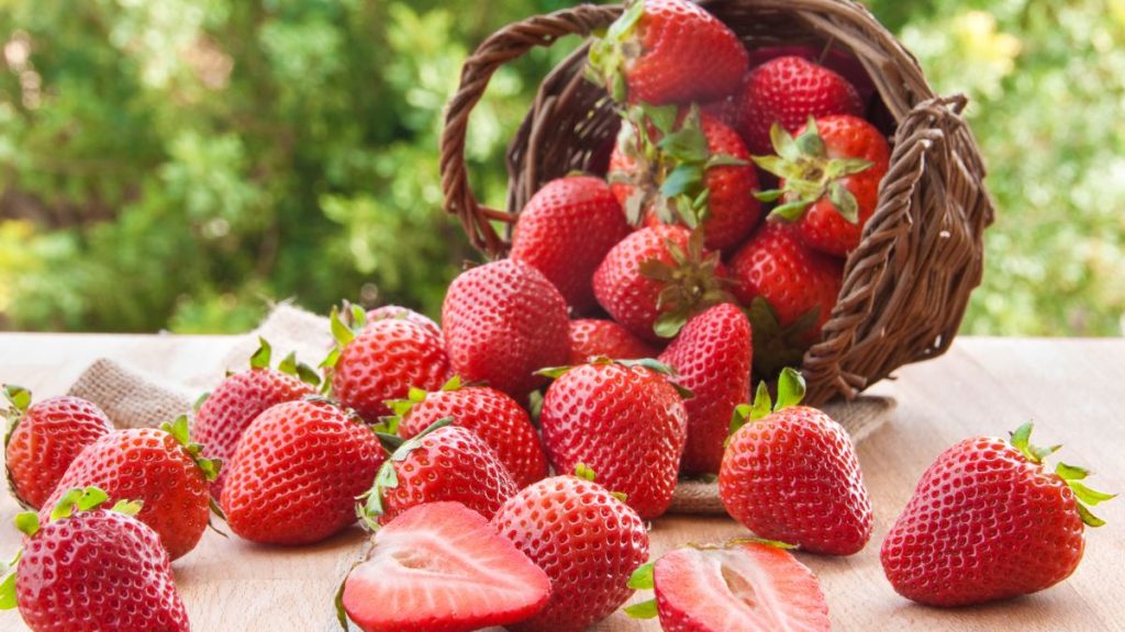 Scopri il potere nutrizionale delle fragole: benefici e proprietà straordinarie