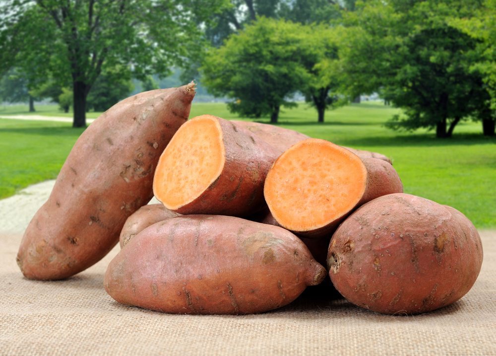 Patate dolci: benefici terapeutici indiscutabili