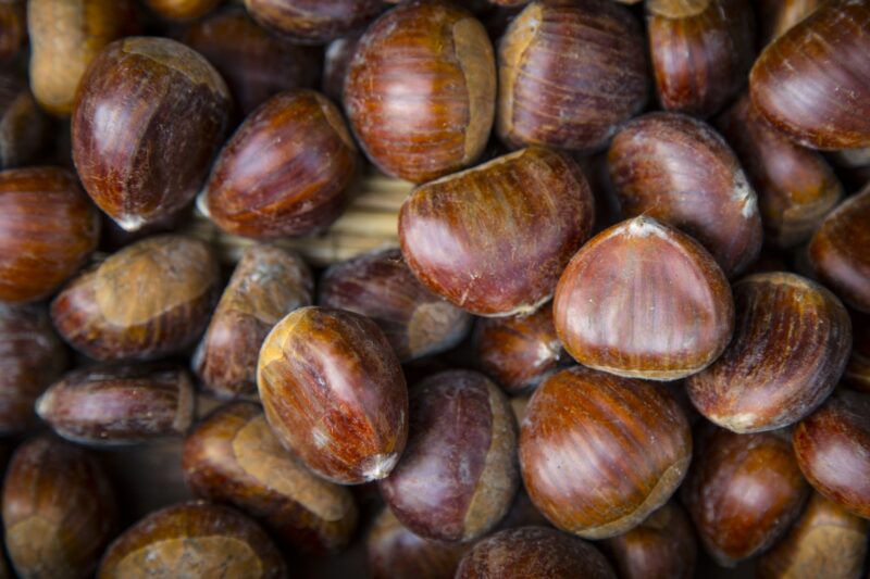 Come utilizzare le castagne commestibili nell’alimentazione e nella salute
