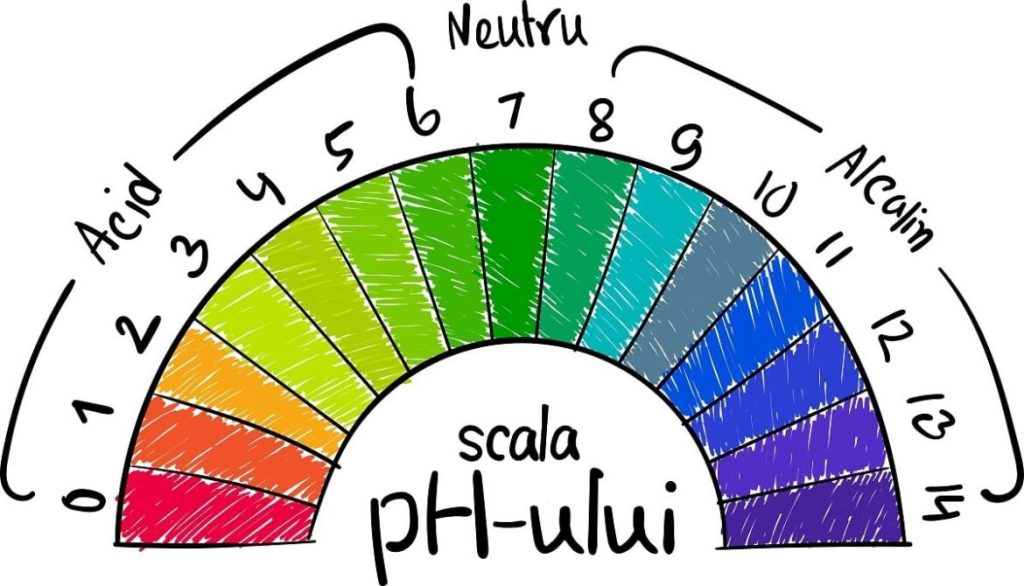 Succhi alcalini: come prepararli a casa e quali effetti hanno a lungo termine