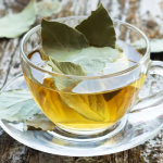 Tè di alloro per il tratto gastrointestinale: modalità di preparazione e consumo